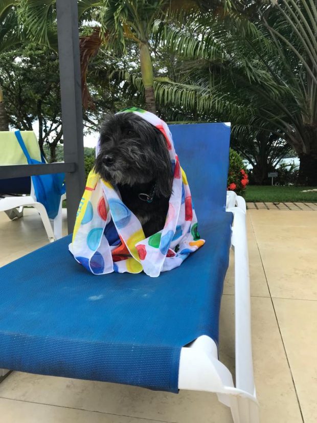 svenja, panama