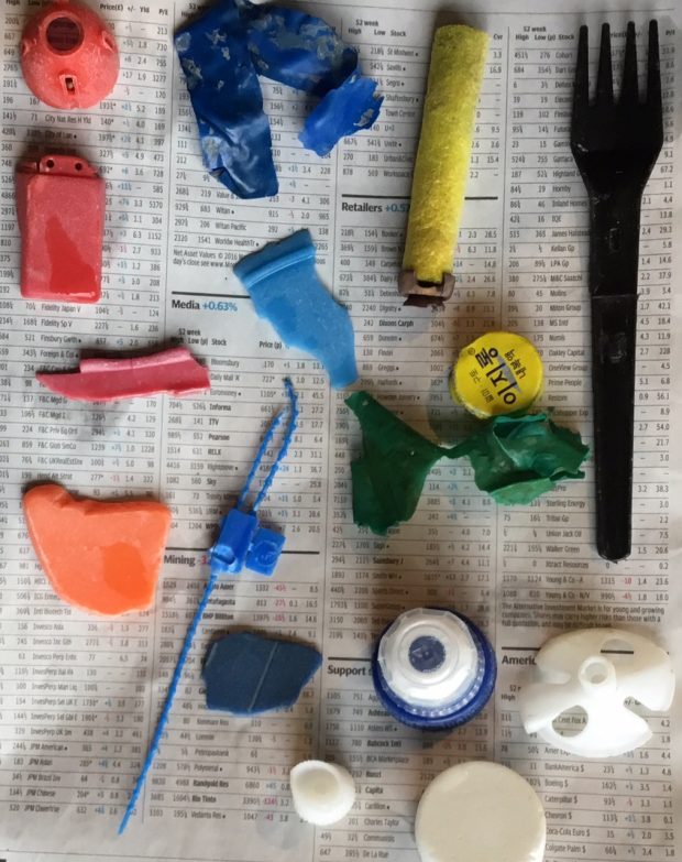 Diane's Dorset Finds