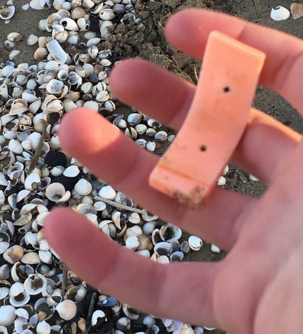 Olivia's beach finds, Dalmeny Beach, East Coast Scotland