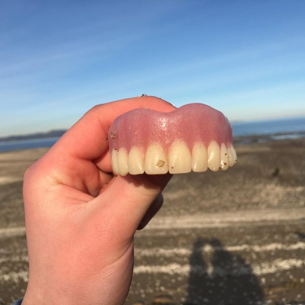 Olivia's funny finds, Dalmeny Beach, East cCoast Scotland