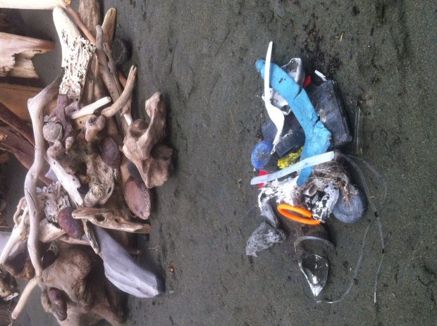 Antoinette's beach clean on holiday