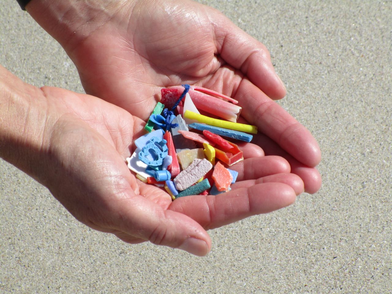 collecting plastic marine litter: australia