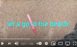 beach find-flamingo