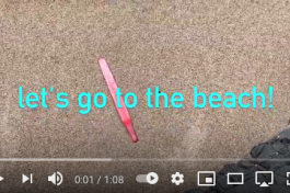 beach find-flamingo
